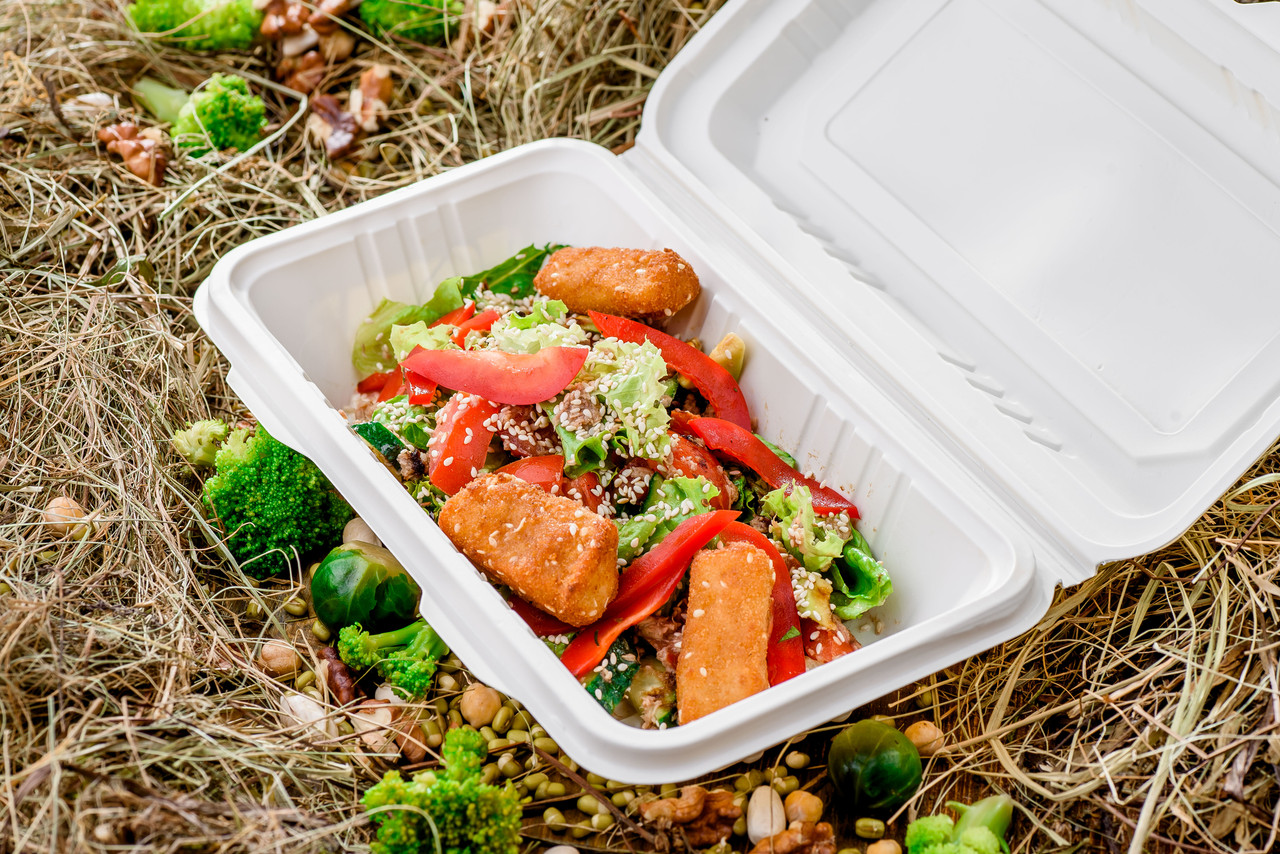 Bagasse, biodegradable Lunch meal Box 9'' x 6'' x 3