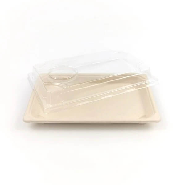 500X Compostable Bagasse Sushi Tray 238x145x25mm, Eco Tray