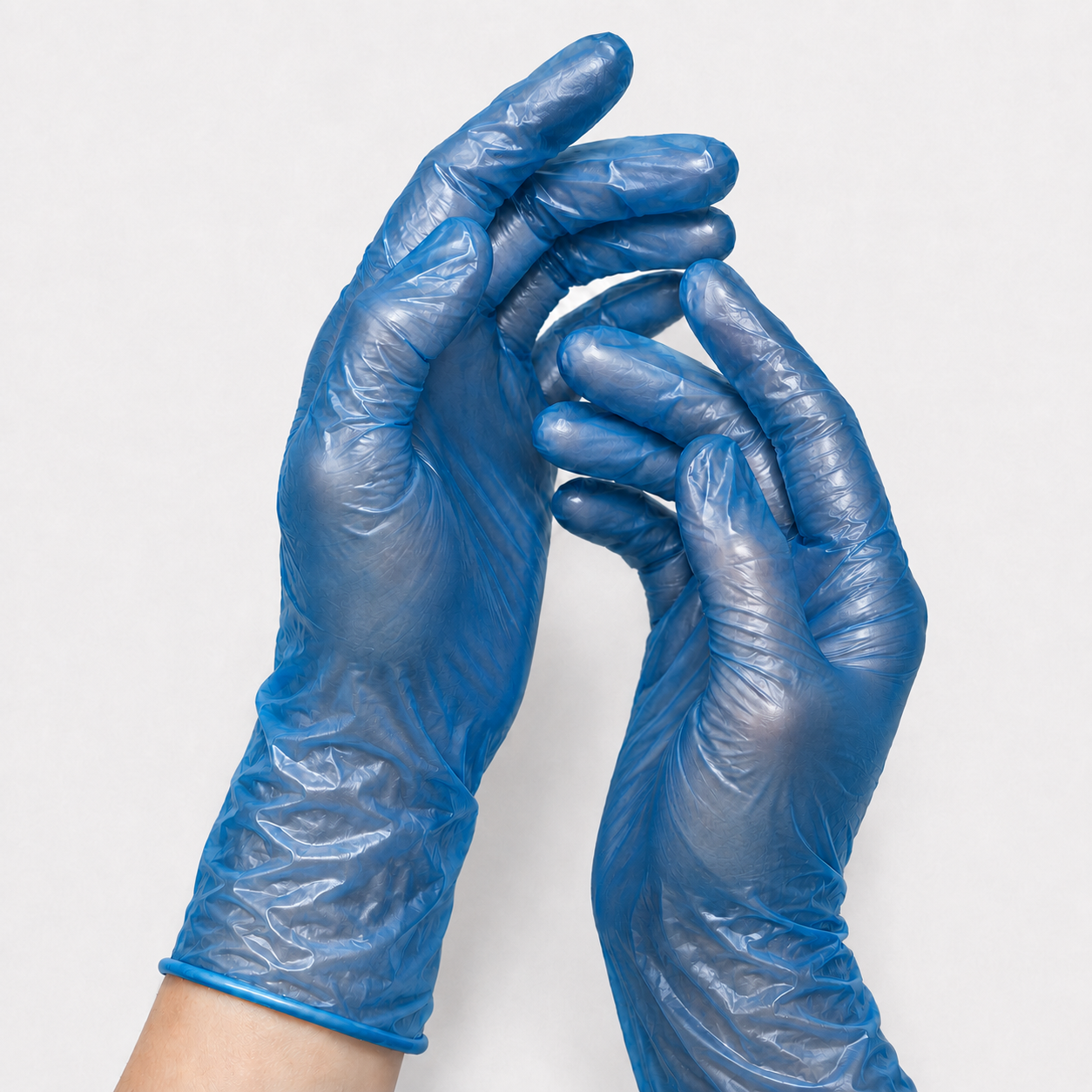 Vinyl Gloves Large Blue Powder Free - Pack of 100
