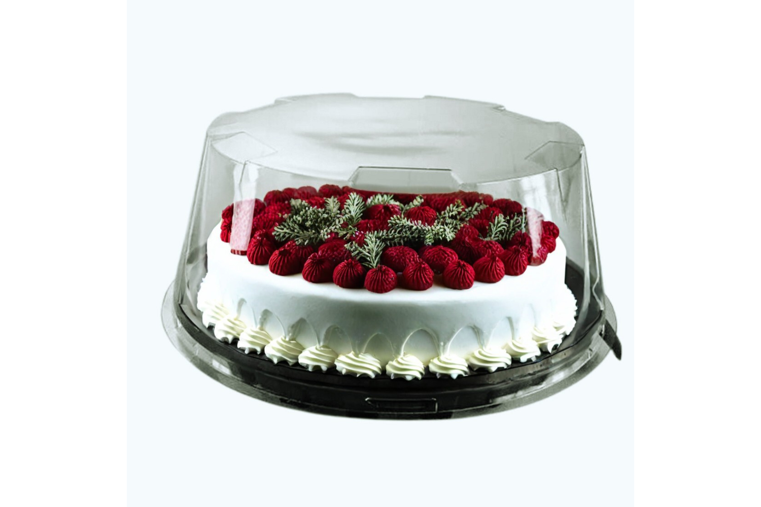 GPI Actipack Clear Cake Domed Lid 6x3inch 16DXN03 - Pack of 210