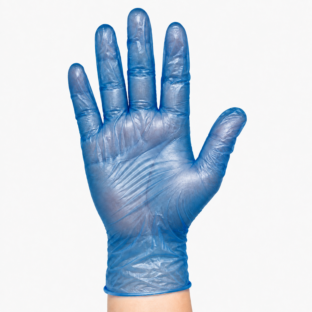 Vinyl Gloves Large Blue Powder Free - Case of 10 X 100