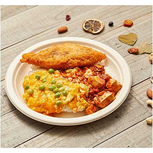 Bagasse Disposable Biodegradable 9-Inch Plates (Pack of 500)  Supply Express