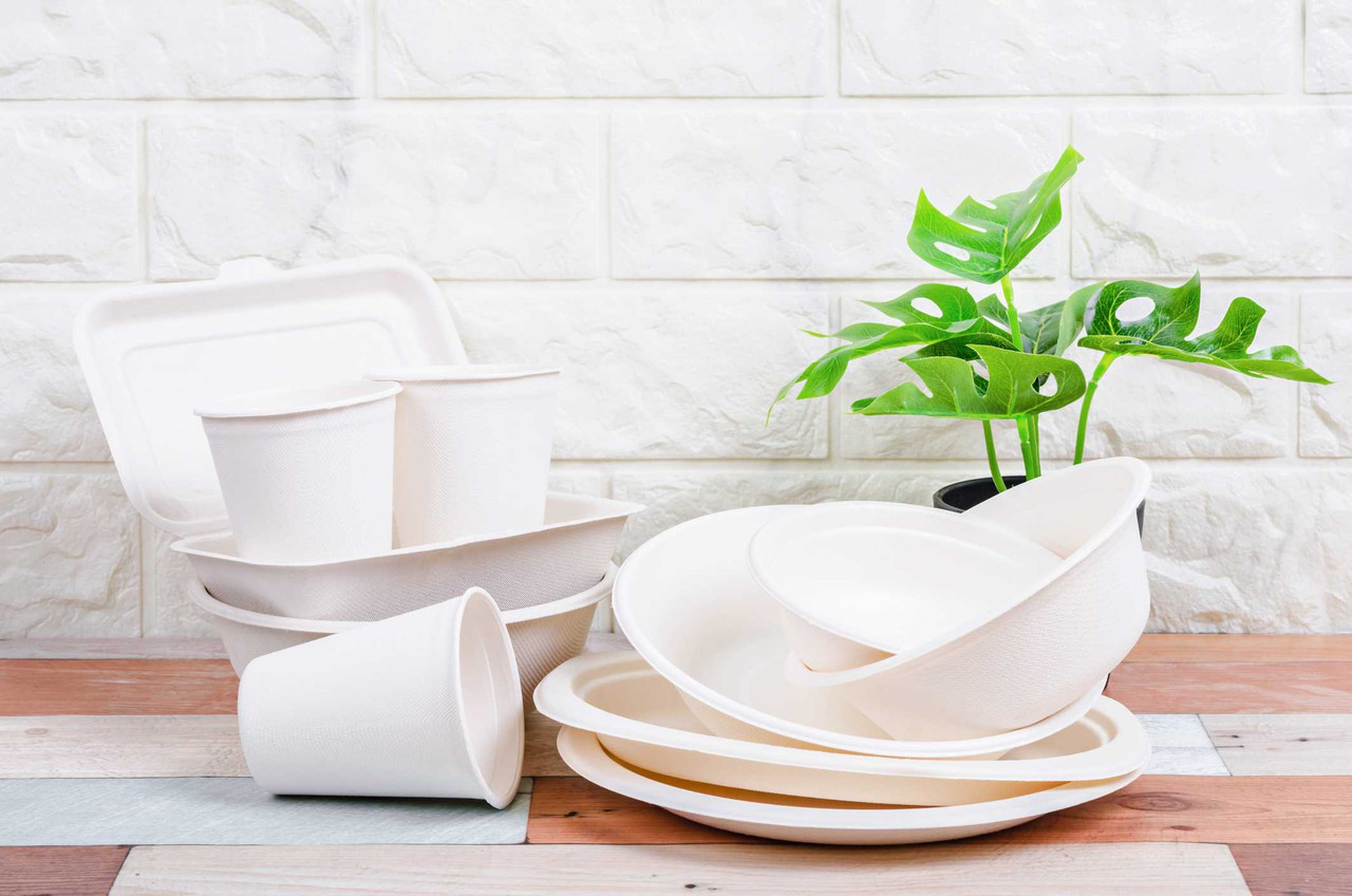Bagasse 10 Inch 3 Compartment Plate - Disposable, Biodegradable -  Supply Express