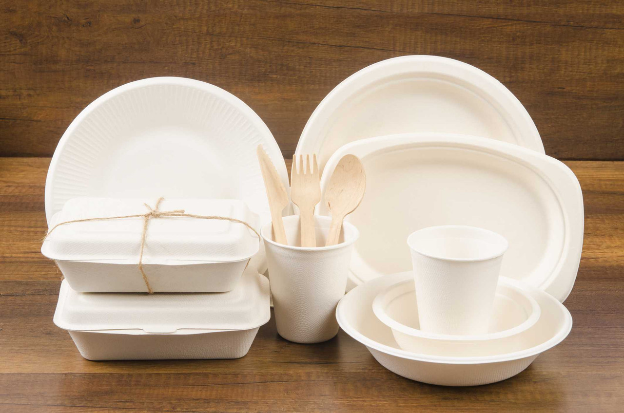 Bagasse 10 Inch 3 Compartment Plate - Disposable, Biodegradable -  Supply Express