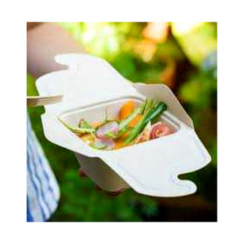 Sabert Rectangular Bagasse Meal Box 500ml PUL42050160 – Pack of 300