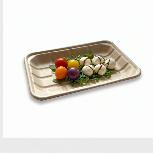 Compostable Meat, Fruit & Veg Trays 21x15x2cm - Pack of 500
