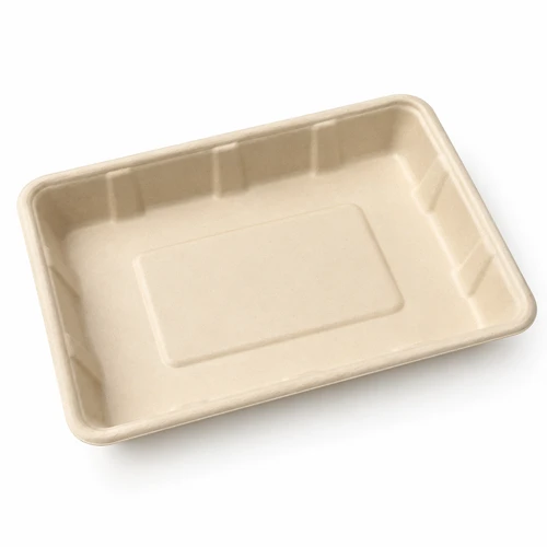 Compostable Bagasse Sushi Tray 215x135x25mm - 500 Trays