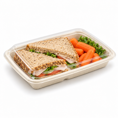 Sabert Rect. Pulp Container 600ml [PUL46120] – Shallow (300pcs)