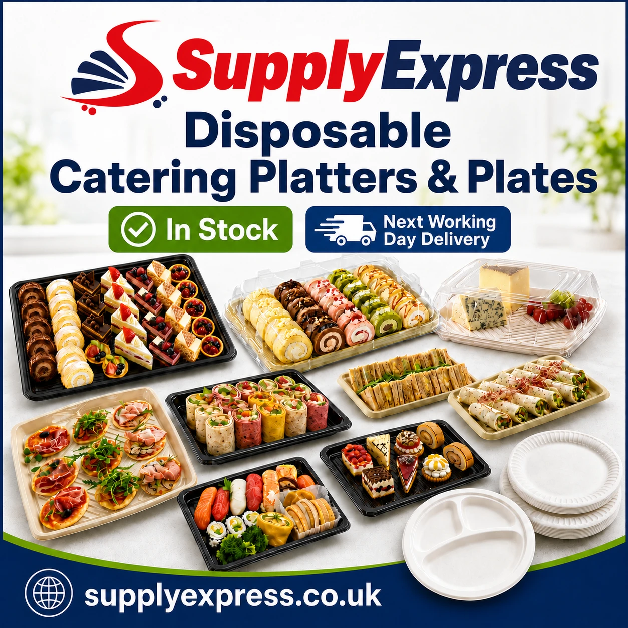 Disposable Plates and Platters