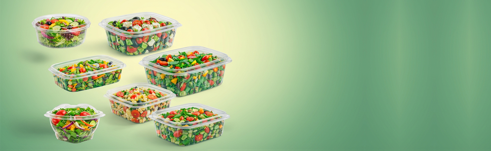 Takeaway clear salad containers