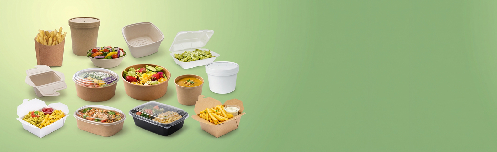 Cardboard Bagasse ,Pulp meal box ,food containers
