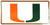 University of Miami License Plate 12" x 6"