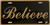 "Believe" Aluminum License Plate 12"x6" "Believe" Aluminum License Plate 12"x6"