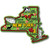 New York Colorful State Magnet New York Colorful State Magnet