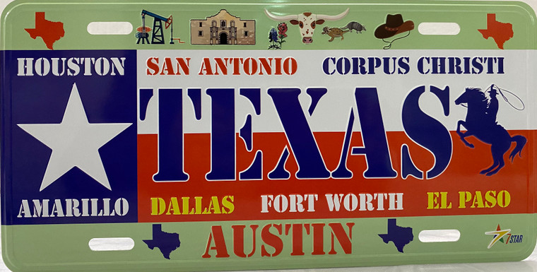 License Plate 'Texas' 6" x 12" High Quality Emboss Metal Plate