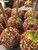 caramel apple with colorful sprinkles