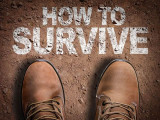 Beginner Emergency Survival Guide