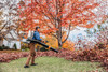 Stihl BR800C-E MAGNUM Backpack Blower