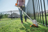 Stihl FSA57 Lithium Ion Weed Trimmer