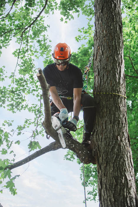 Stihl MS151TC-E Top Handle Chainsaw - 12