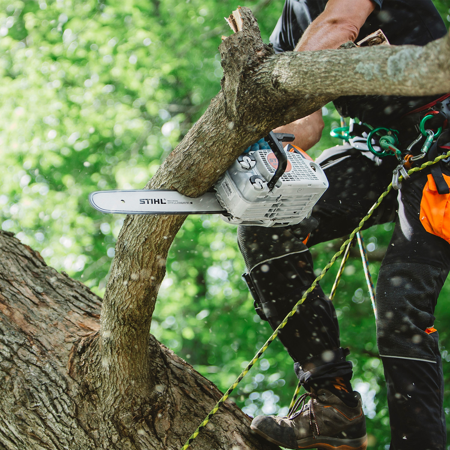 Catena Per Motosega STIHL MS 150 TC – 12″, 64 Maglie, Rapid Micro, 1,3 Mm