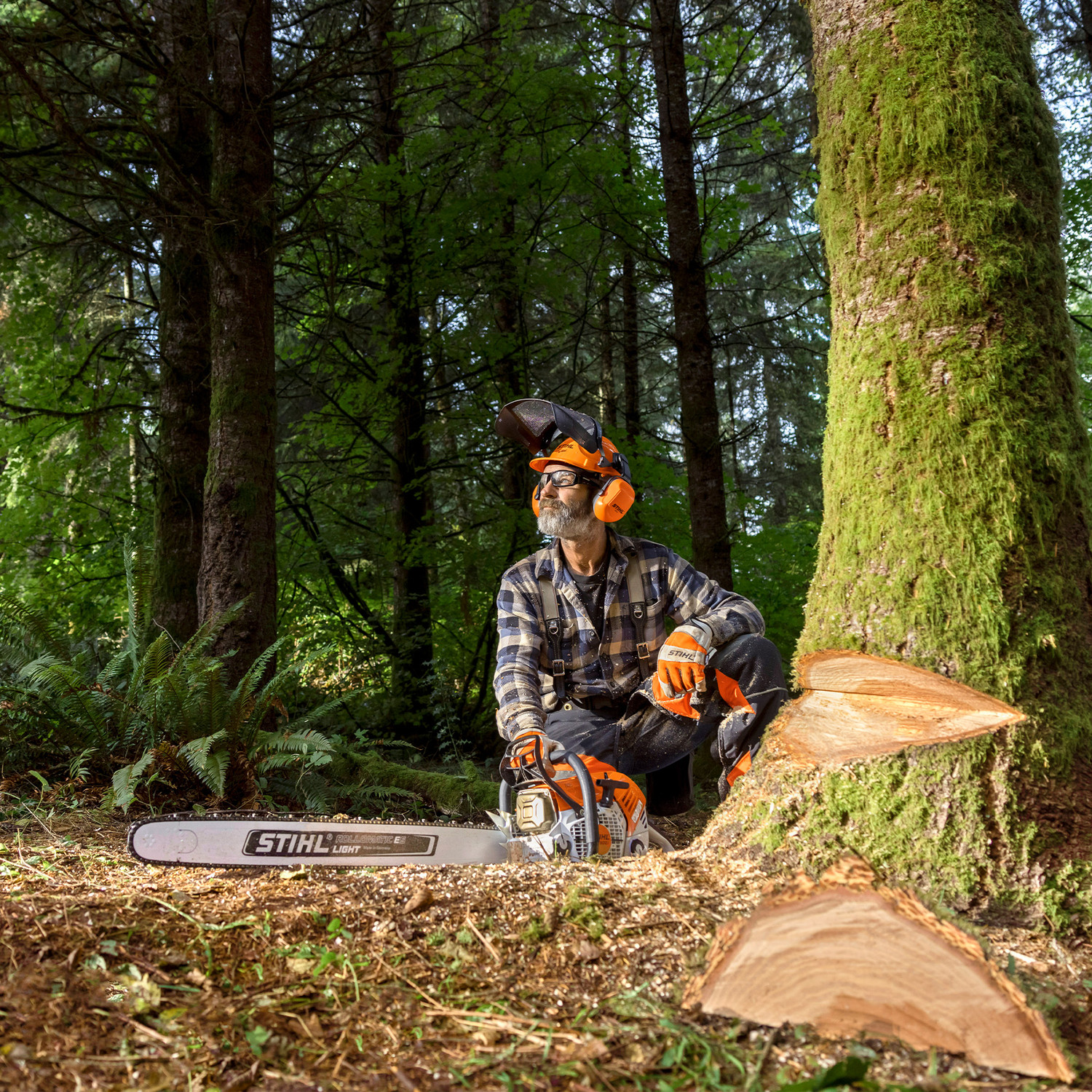Stihl MS500iR Fuel Injected Chainsaw - Wrap Handle - Valley Power