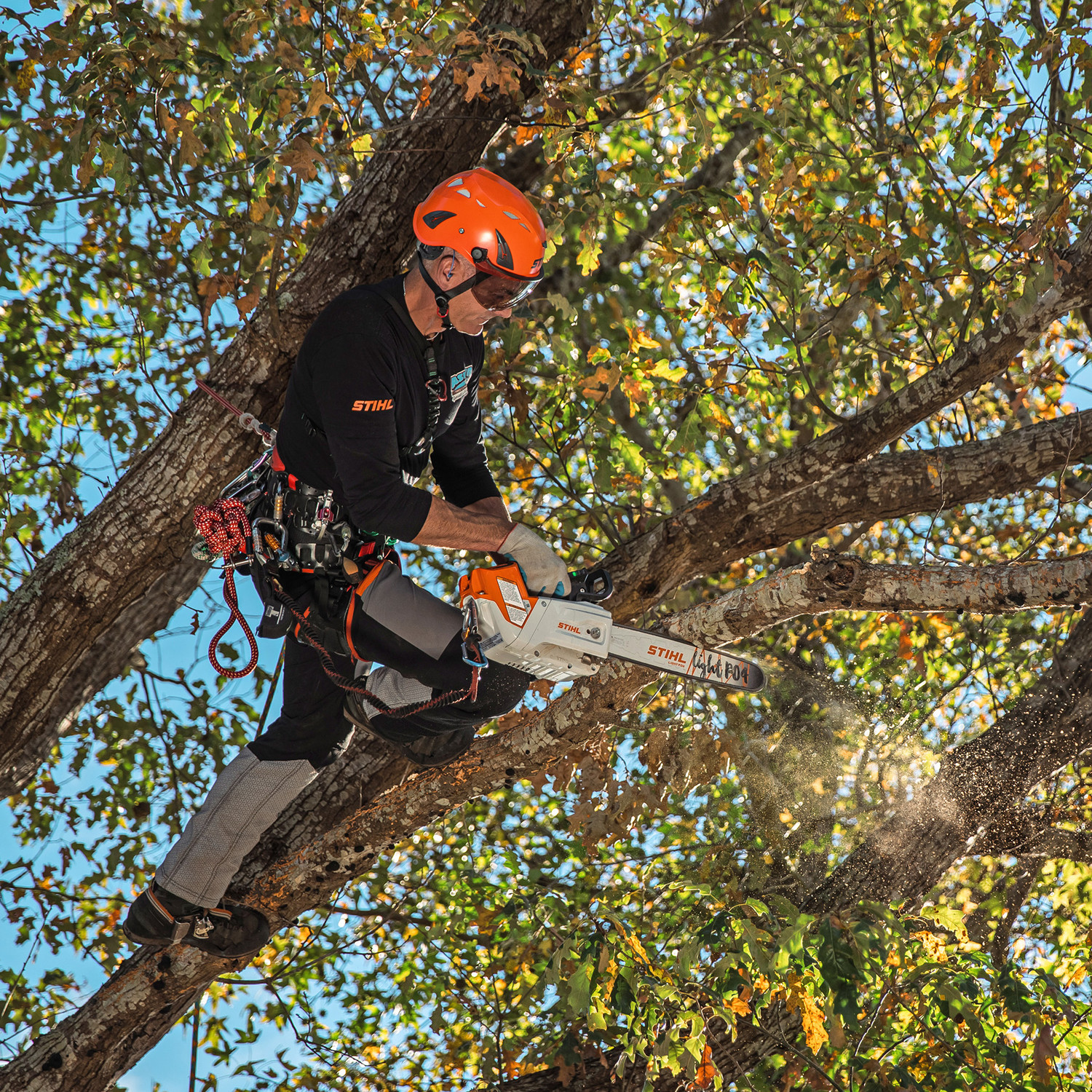 その他 STIHL MSA220TC MSA 220 TC-O アーボリスト用バッテリーチェンソー オイルセンサー付き