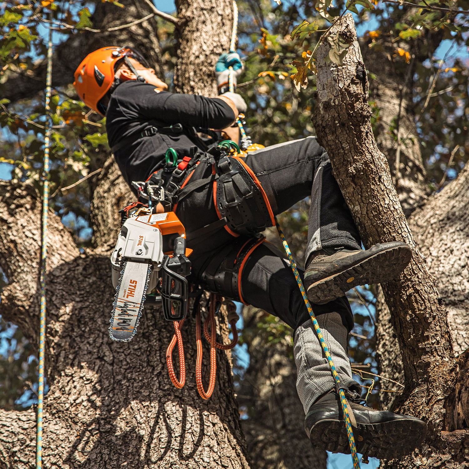 その他 STIHL MSA220TC MSA 220 TC-O アーボリスト用バッテリーチェンソー オイルセンサー付き