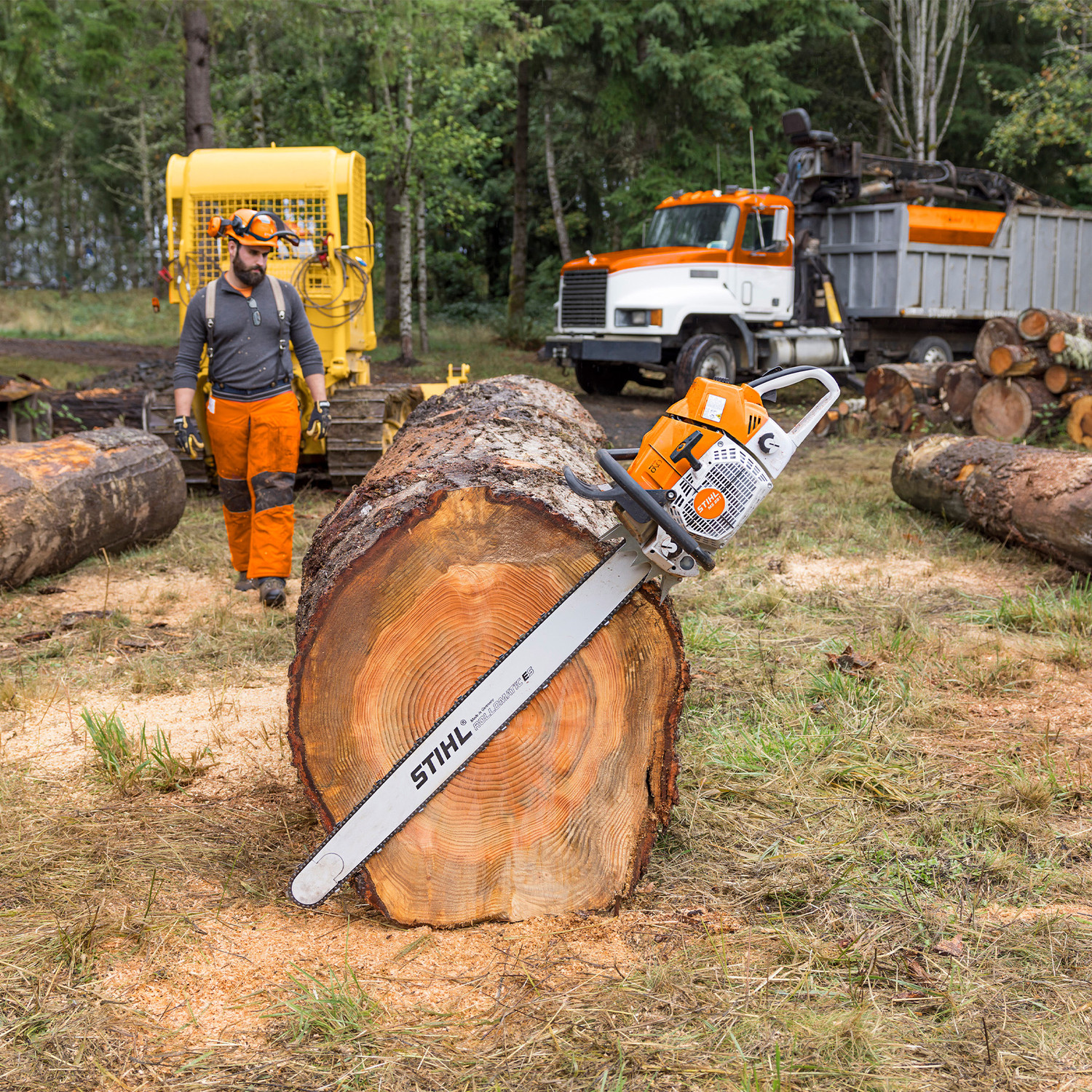 Stihl MS881R MAGNUM Wrap Handle Chainsaw - Valley Power Equipment
