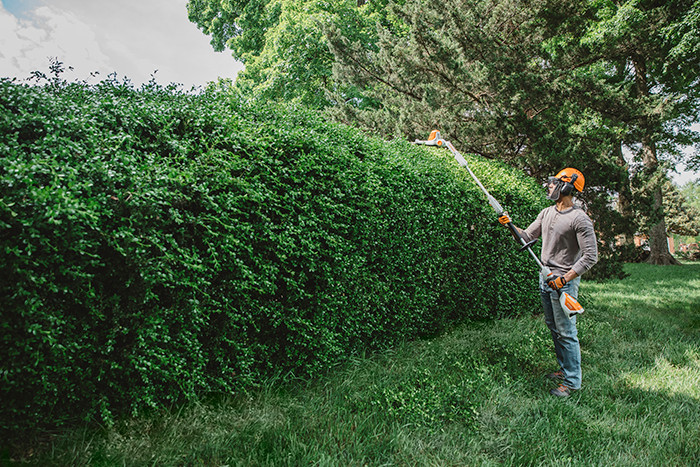 STIHL HLA 56 ヘッジトリマー 本体 バッテリー 充電器付 Stihl HLA56 Lithium Ion Extended Reach Hedge Trimmer - Valley