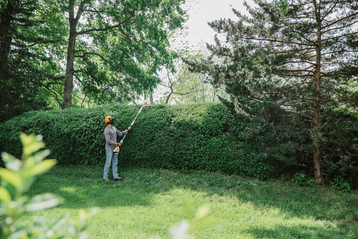 Stihl HLA56 Lithium Ion Extended Reach Hedge Trimmer - Valley