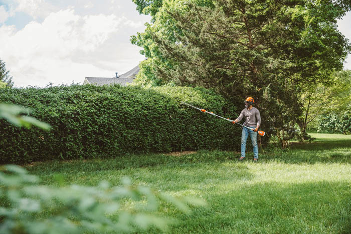Stihl HLA56 Lithium Ion Extended Reach Hedge Trimmer - Valley