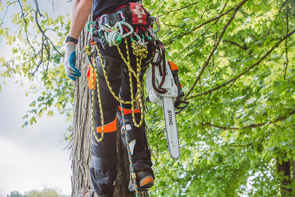 Stihl MS201TC-M Top Handle Chainsaw 14" Stihl MS201TC-M Top Handle Chainsaw 14"