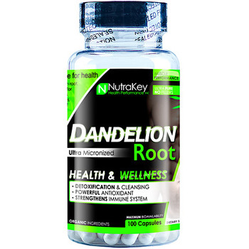 Nutrakey Dandelion Root 1006219