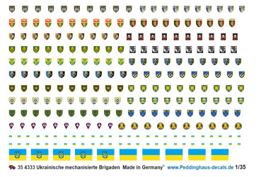 Ukrainian mechanized brigades Infantry markings