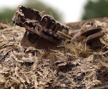 Rotten Leaves 1/35  (100)