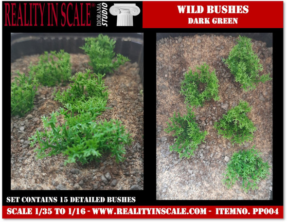 Wild bushes dark green