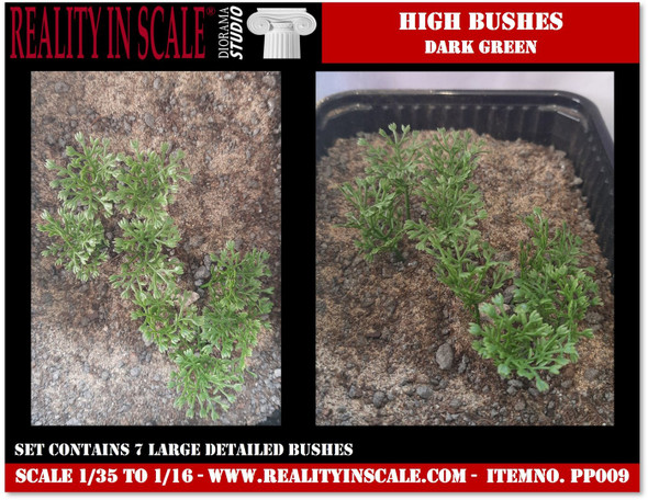 High bushes dark green