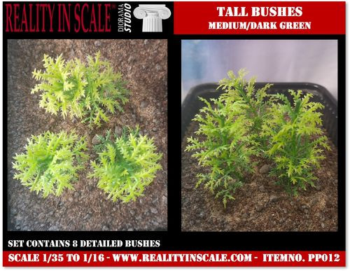 Tall bushes dark green