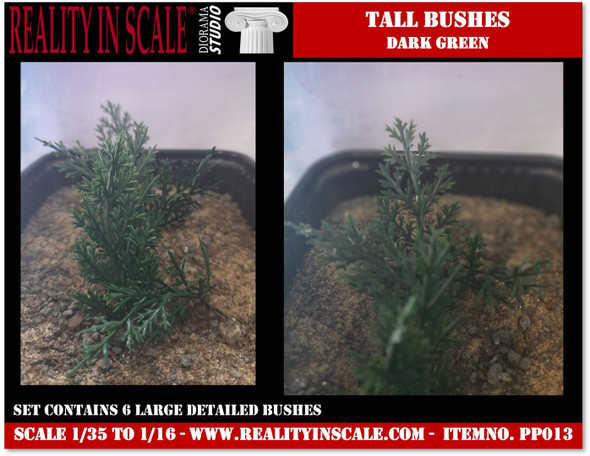 Tall bushes dark green