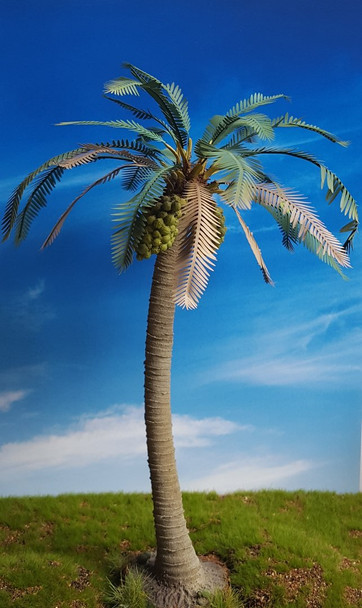 Coconut Palm