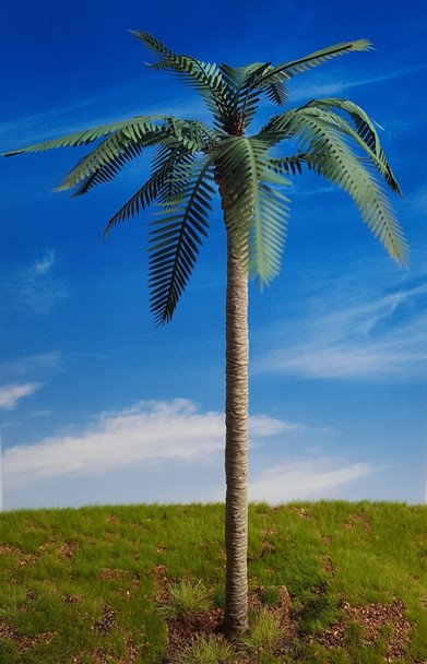 Common palm