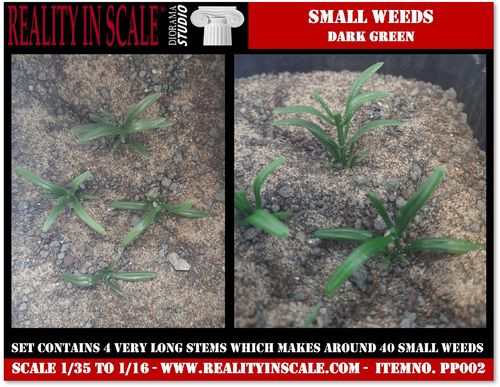 Small weeds dark green