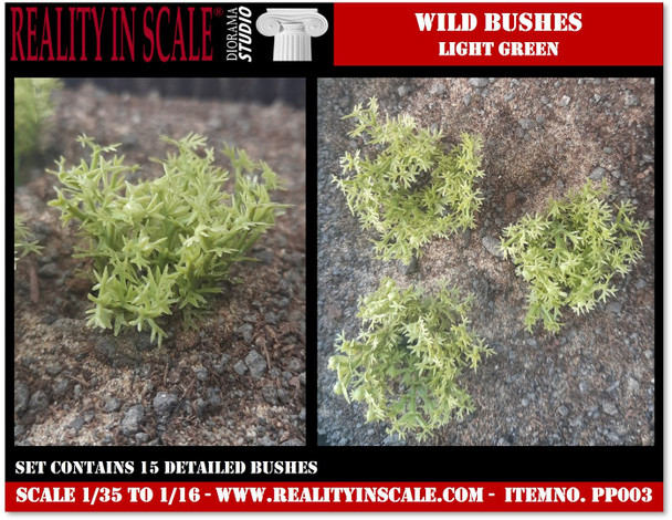 Wild bushes light green