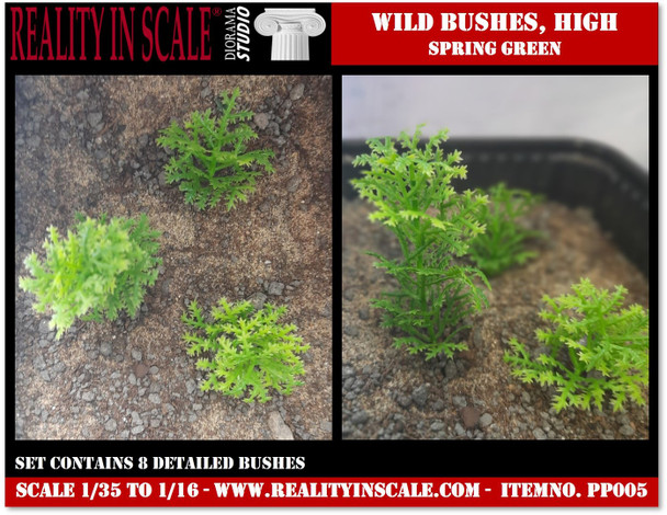 Wild bushes spring green