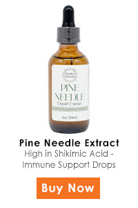 pineneedleextract-200x300.jpg