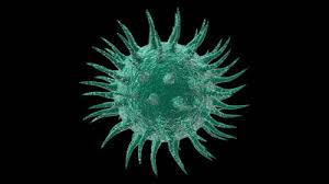 Vicious Viral Vortex - MetabolicBootCamp