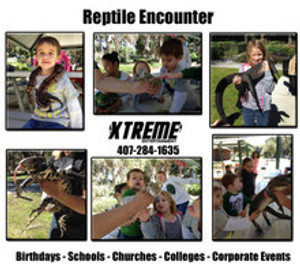 "Guests holding and interacting with snakes, lizards, and other reptiles during a hands-on reptile encounter at an educational event." "Guests holding and interacting with snakes, lizards, and other reptiles during a hands-on reptile encounter at an educational event."