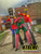 Stilt Walkers