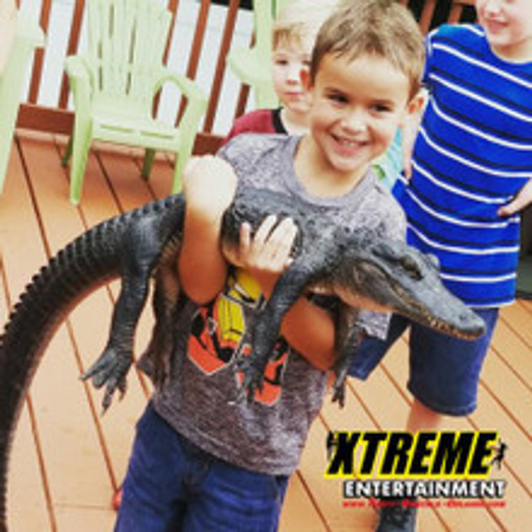 "Guests interacting with small exotic animals like reptiles, small mammals, and birds during an intimate animal encounter."